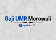 Gaji UMR Morowali
